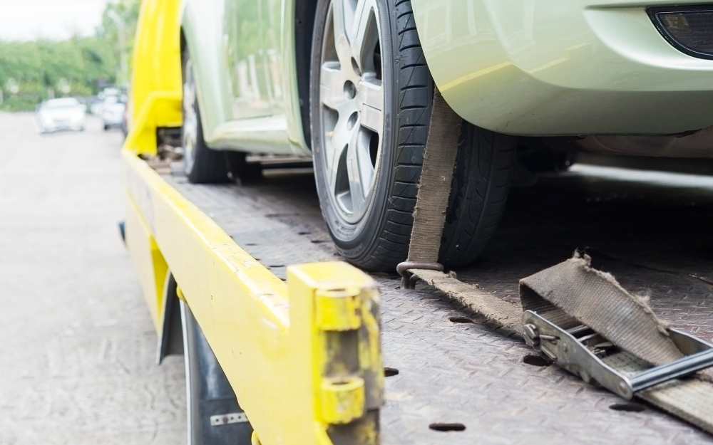 Best Car Shipping Options for Out-of-State College Students