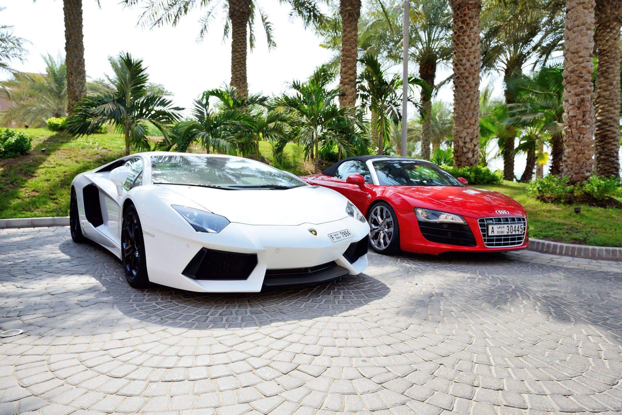 How Hiring Auto Transport Services Can Save You Time and Money